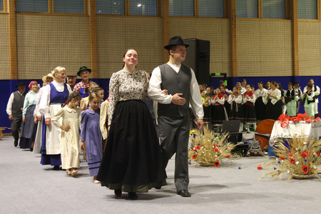 Folklorni festival 11 Foto Ljubo Vukelič
